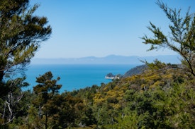 A view over forest to the blue sea of the bay