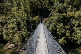 A suspension bridge leads into a forest