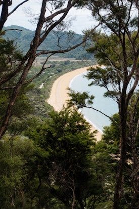 A high up view of Totaranui beach through some trees