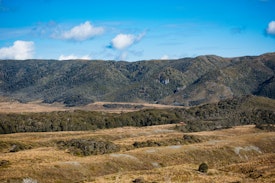 Gouland Downs with the Gouland Downs hut visible in the distance