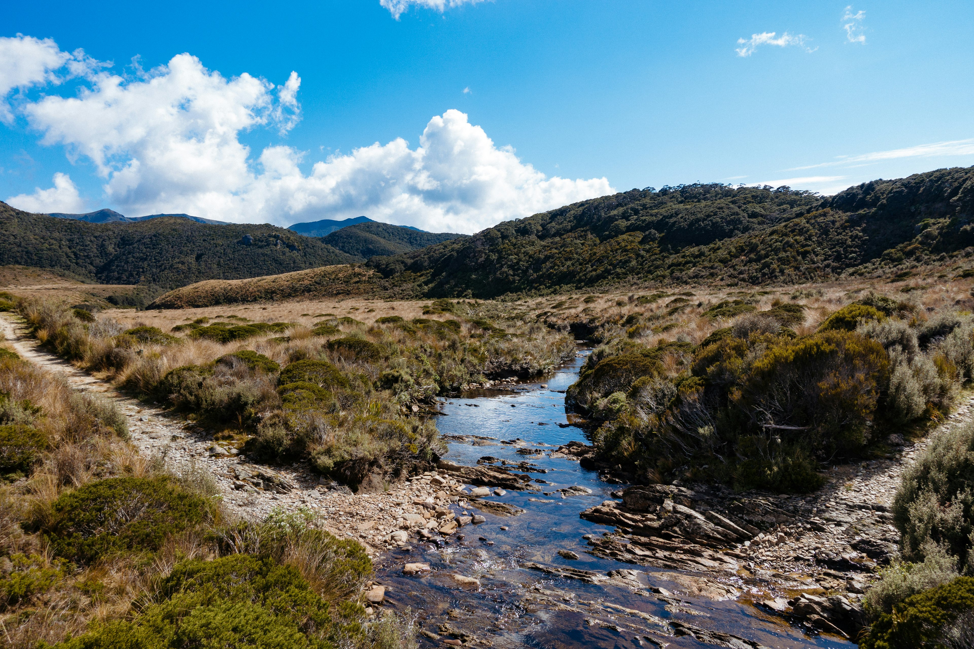 A view of a stream running through the Gouland Downs