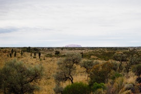 A view too Uluru from the Olgas viewing area