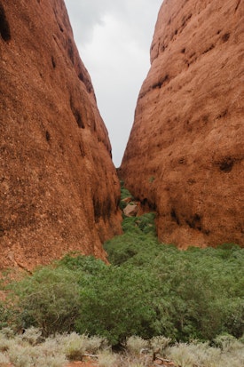 The end of Walpa Gorge