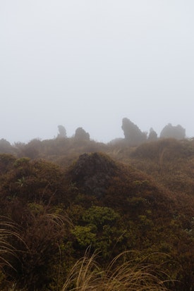 Mist rises over volcanic rock formations