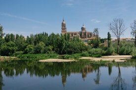 Salamanca Cathedral over the river