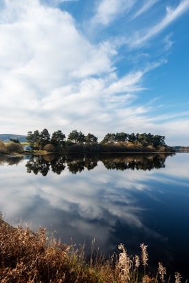 Gladhouse Reservoir, with reflections of trees