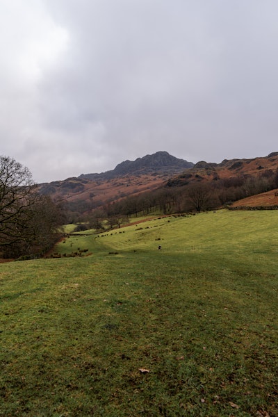 A view to Harter Fell