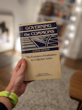 Cover of Governing the Commons