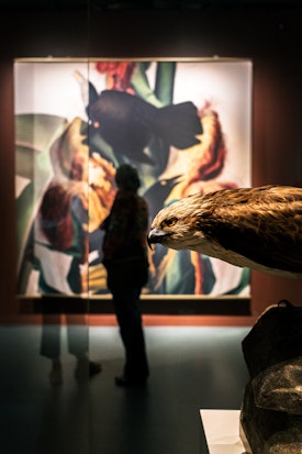 A bird and illustration at the Audubon expo