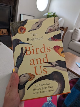 Birds and Us book cover