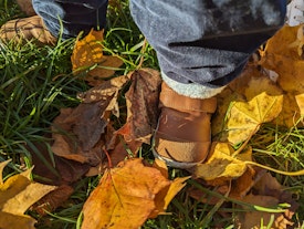 Shoes on autumn leaves
