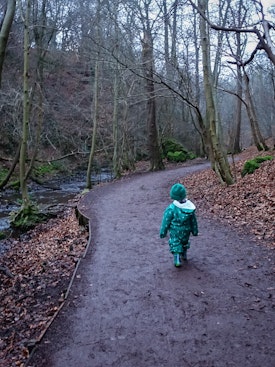 Jack walking next to the stream at the Hermitage