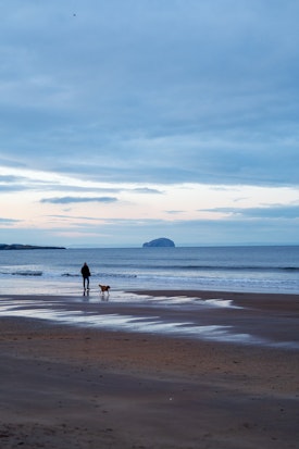 A man walks his dog on Dunbar Beach