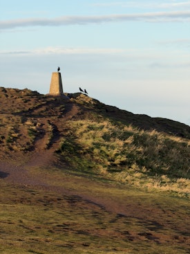 Blackford Hill in the morning sun